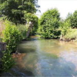 Rivière