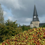 Les pommes et sa distillerie